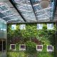 Economics of Green Building: Cost Savings and Long-Term Value