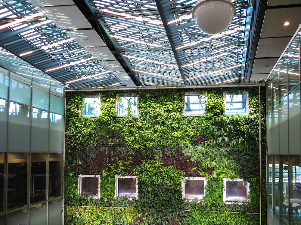 Economics of Green Building: Cost Savings and Long-Term Value
