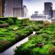 Role of Green Roofs in Urban Sustainability